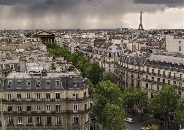 Vendez votre voiture d'occasion à Paris avec ou sans CT moteur HS en panne accidentée. Rachat et reprise de véhicules non roulant, pour pièces en région parisienne et île de France. Delivauto professionnel de la reprise automobile toutes marques peu importe la motorisation diesel, essence, électrique, hybride, en panne. Évitez les garages parisiens et les casses auto à Paris faites appel au spécialiste de la reprise auto HS, distribution cassée, boite automatique hors service, batterie HS, claquement moteur, cylindre HS, injecteur HS, Turbo HS, FAP HS. Nous reprenons toutes marques : Renault, Peugeot, Volkswagen, Audi, BMW, Mercedes, Toyota etc Berline, citadine, monospace, SUV, 4x4, sportive, collection HS